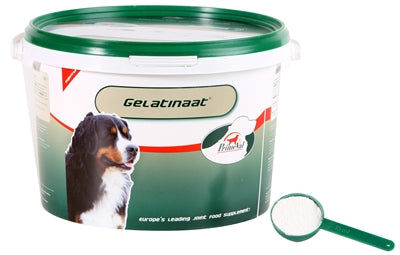 Primeval Urzeitlicher Gelatinierter Hund