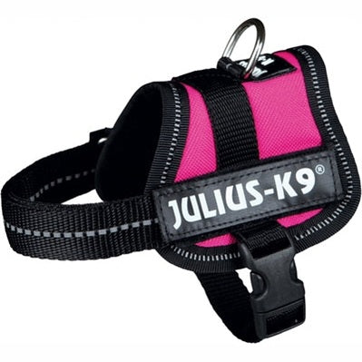 Julius K9 Power-Harnas / Harness Für Etiketten Fuchsia