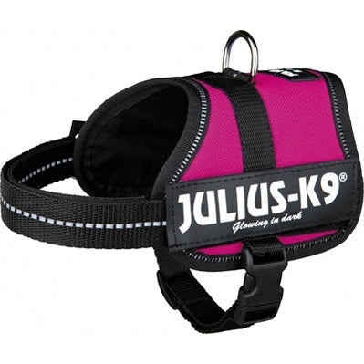 Julius K9 Power-Harnas / Harness Für Etiketten Fuchsia