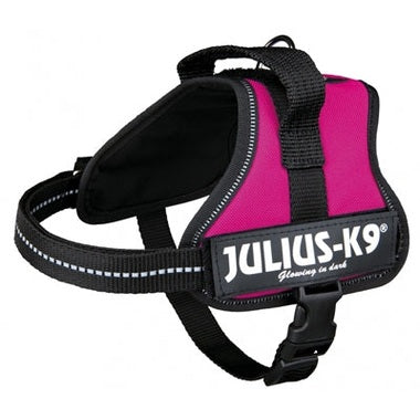 Julius K9 Power-Harnas / Harness Für Etiketten Fuchsia