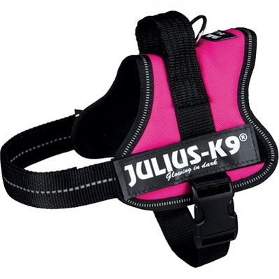 Julius K9 Power-Harnas / Harness Für Etiketten Fuchsia