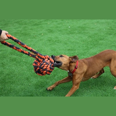 Happy Pet Glückliche Haustiernüsse Für Knoten-Extrem-Ballschlepper