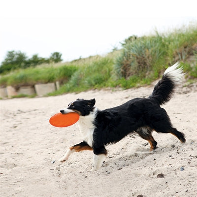 Trixie Gummi-Frisbee-Hund 0 Soar Assorti