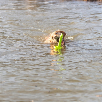 Trixie Hundeaktivität Mot-Aqua Apportierschwimmer Lindgrün