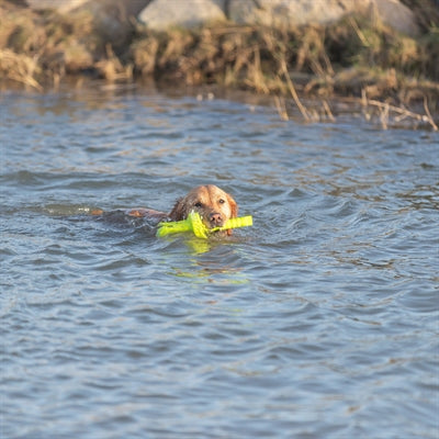 Trixie Hundeaktivität Mot-Aqua Apportierschwimmer Lindgrün