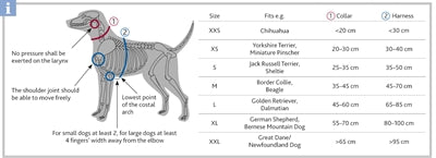 Trixie Hundegeschirr Premium One Touch Graphitgrau