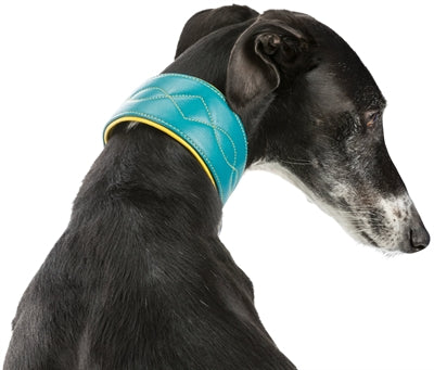 Trixie Hundehalsband Active Comfort Für Windhunde Leder Petrol