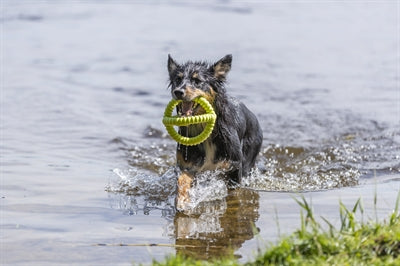 Trixie Aqua Toy Nachziehbares Spielzeug Tpr Limette