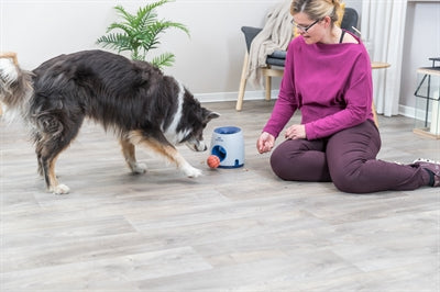 Trixie Hund Aktivität Strategie Spiel Ball &Amp; Leckerli Weiss/Blau