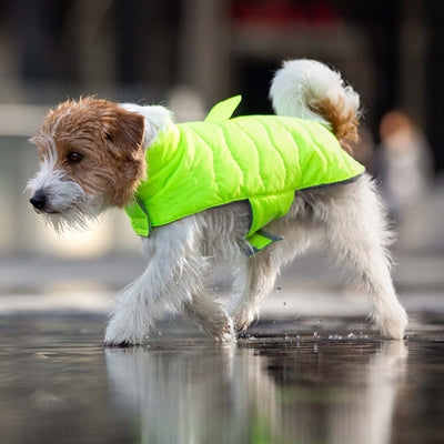 Croci Hundemantel Gepolstert Eco Blätter Recycelt Gelb