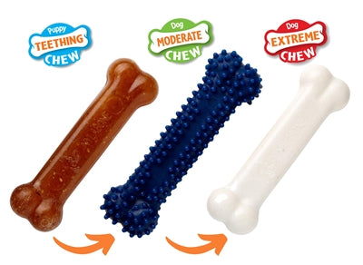 Nylabone Welpe Kauen Welpen-Starter-Kit Huhn