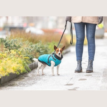 Trixie Hundemantel Pontis Mit Geschirr Aqua