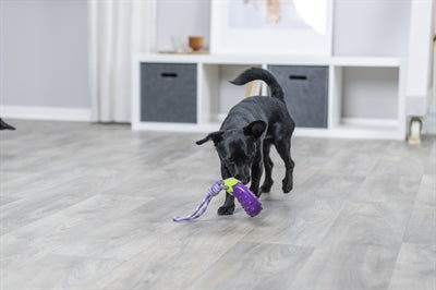 Trixie Hund Spielzeug Aubergine Auf Schnur Tpr