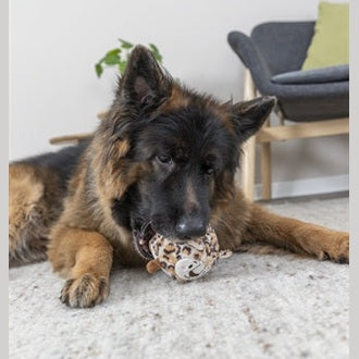 Trixie Hundespielzeug Ball Leopard Plüsch Gummi