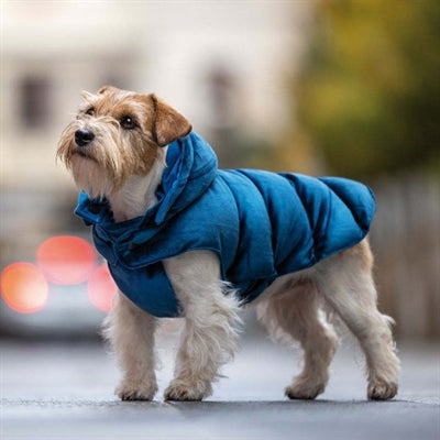 Croci Hundemantel Mit Samt Gefüttert Blau