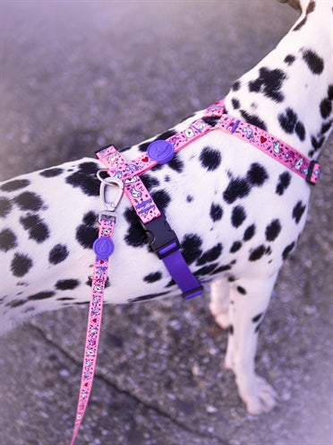 Morso Hundegeschirr Leine Recycelt Süss Tweet Rosa