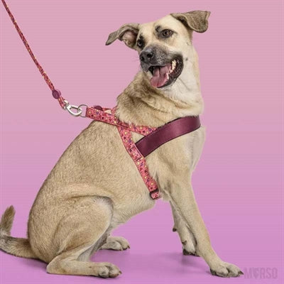 Morso Norwegisches Hundegeschirr Recycelt Rosa Think Pink