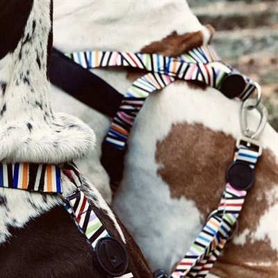 Morso Norwegisches Hundegeschirr Recycelter Spaghetti-Vorfall