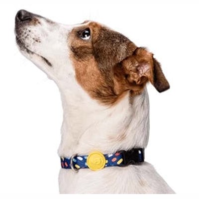 Morso Halsband Hund Recycelt Farbe Eindringlinge Lila