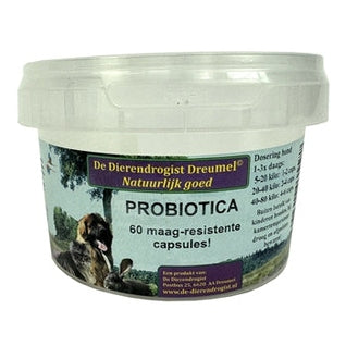 Dierendrogist Probiotika-Kapseln