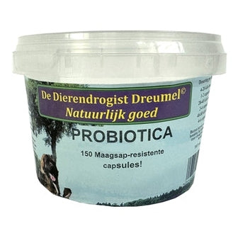 Dierendrogist Probiotika-Kapseln