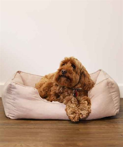 Rosewood 40 Winks Hundekorb Dünner Köper Beige