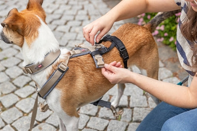 Trixie Panikadapter Steg Für Gurtzeuge Schwarz