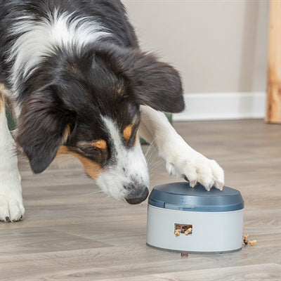 Trixie Aktivitätssummer Für Hunde Plastik