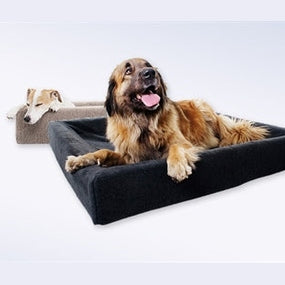 Bia Bed Hundekorb Grau