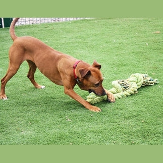 Happy Pet Glückliches Haustier Kingsize-Schleppseil