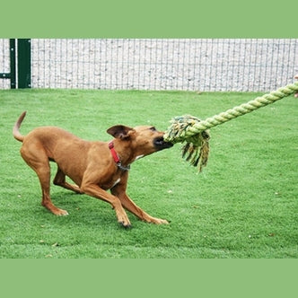 Happy Pet Glückliches Haustier Kingsize-Schleppseil