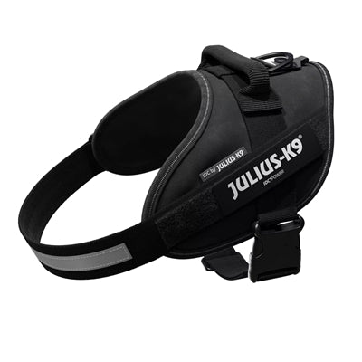 Julius K9 Idc Power Harness / Kabelbaum Für Etiketten Schwarz